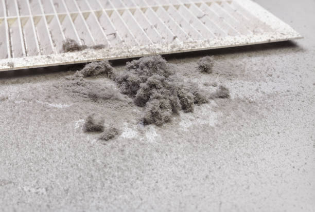 Best HVAC Air Duct Cleaning  in Ocean Springs, MS