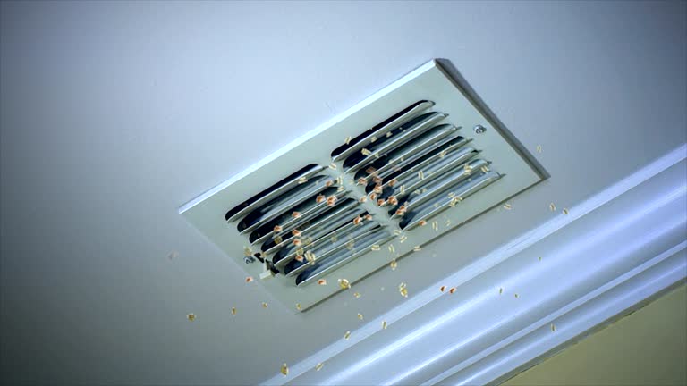 Best Air Duct Cleaning Near Me  in Ocean Springs, MS