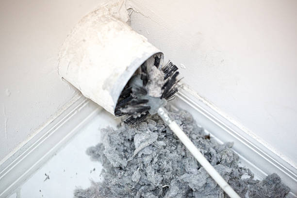 Best Local Air Duct Cleaning Services  in Ocean Springs, MS
